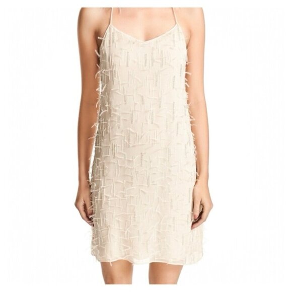 Haute Hippie Dresses & Skirts - HAUTE HIPPIE • Winds of Change Beaded Feather Silk Slip Dress in Buff